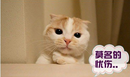 1463566357833248.png 图片8.png